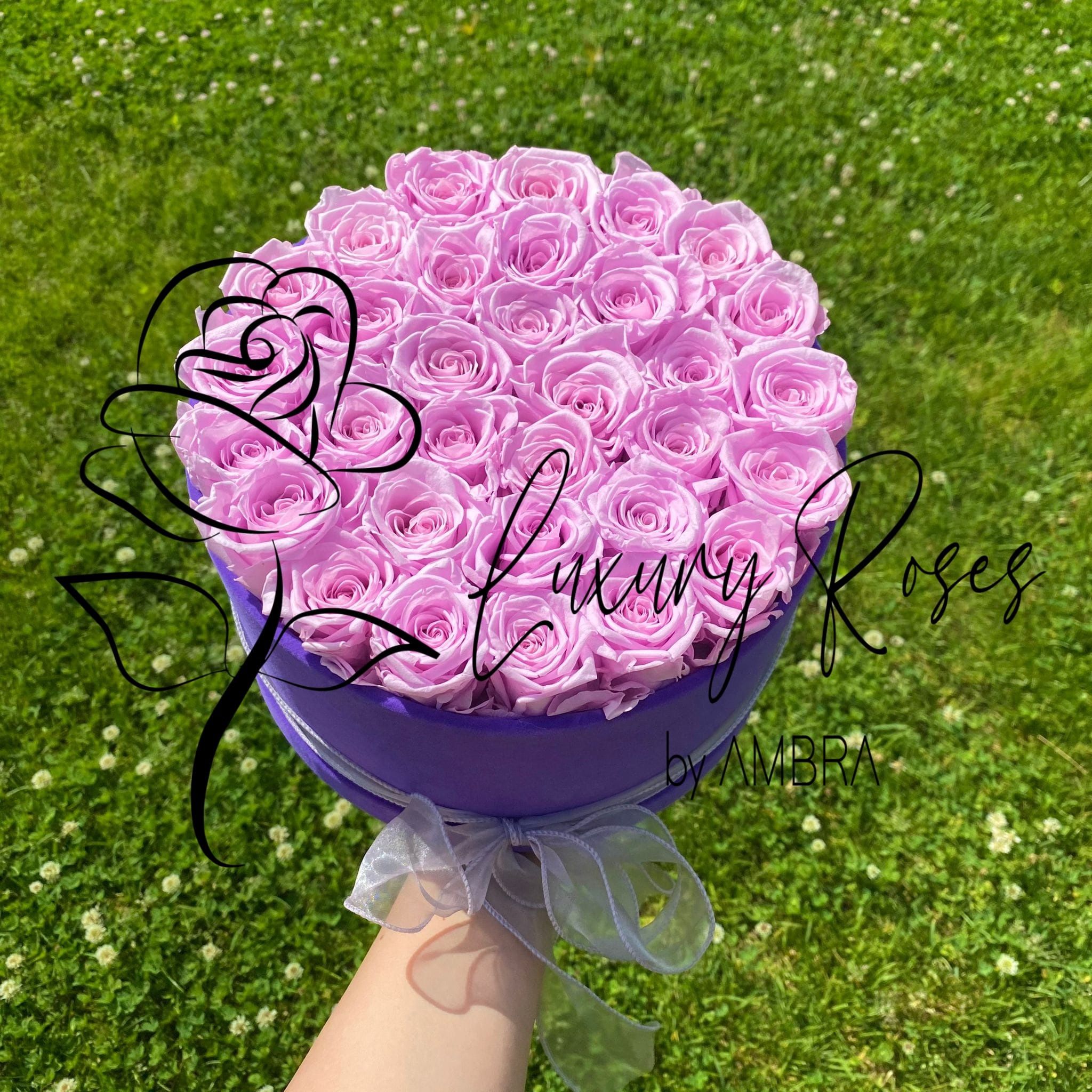 pink Eternal velvet box roses real preserved roses flowers immortal roses anniversary birthday immortal lasting Velvet Box Present Gift
