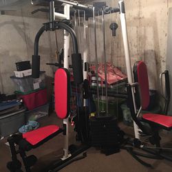 Omleiden Kwelling Aanbod Weider Pro 4900 Home Gym Weight System for Sale in Elwood, IL - OfferUp