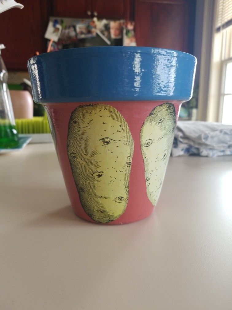 Orange/Blue Potato Pot