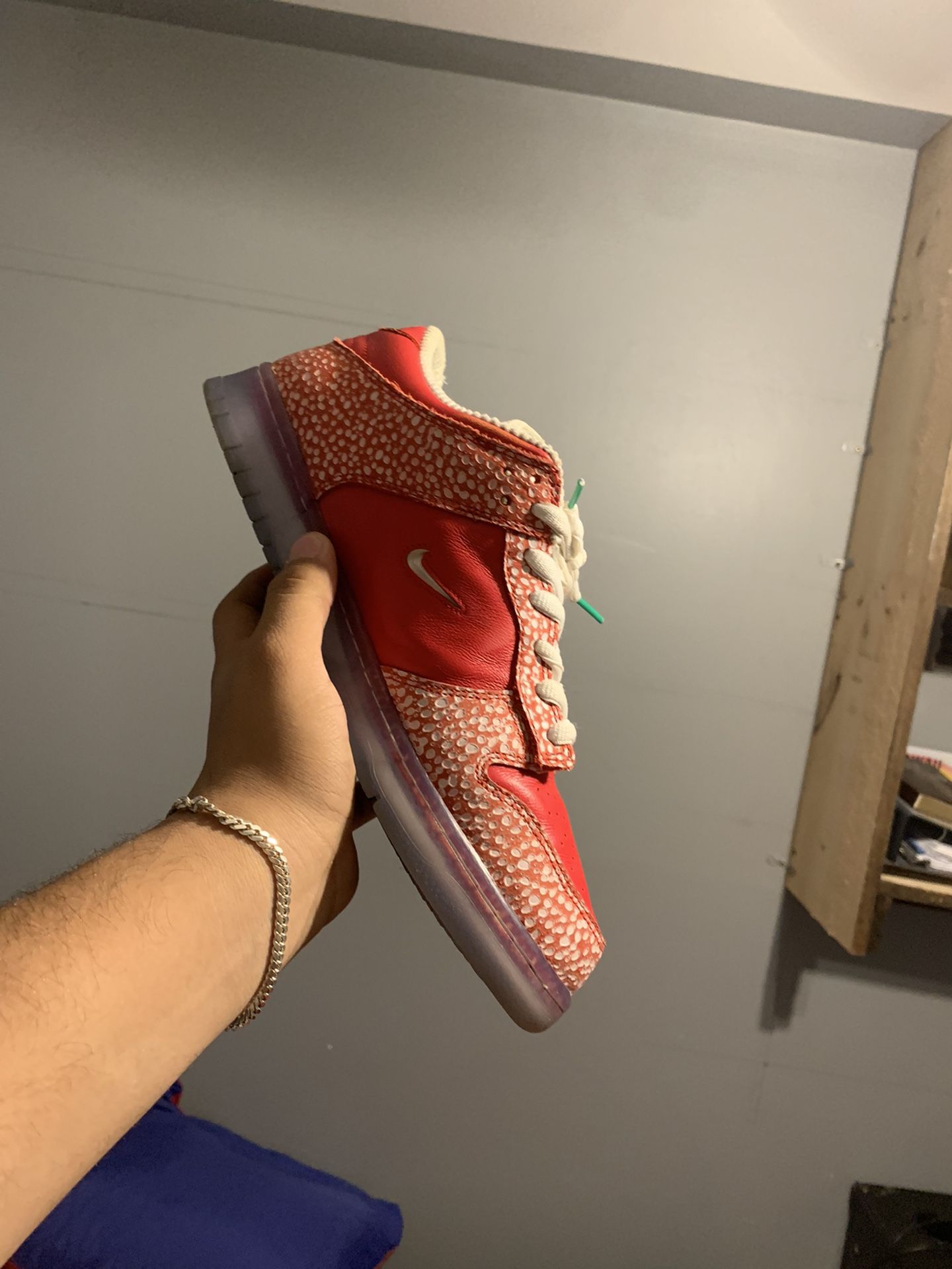 nike sb dunk stingwater