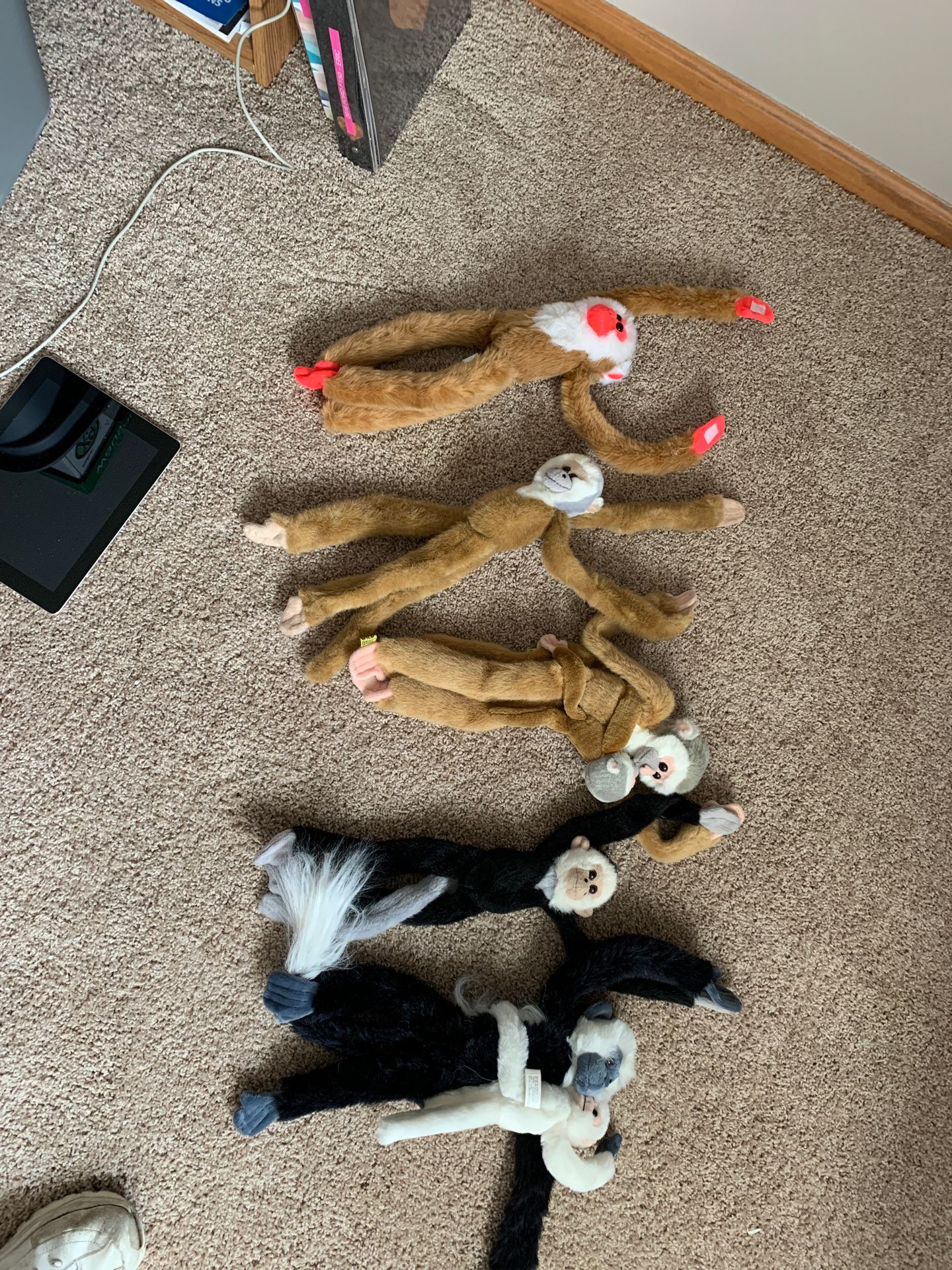 Like *NEW* stuffed Monkeys (7)