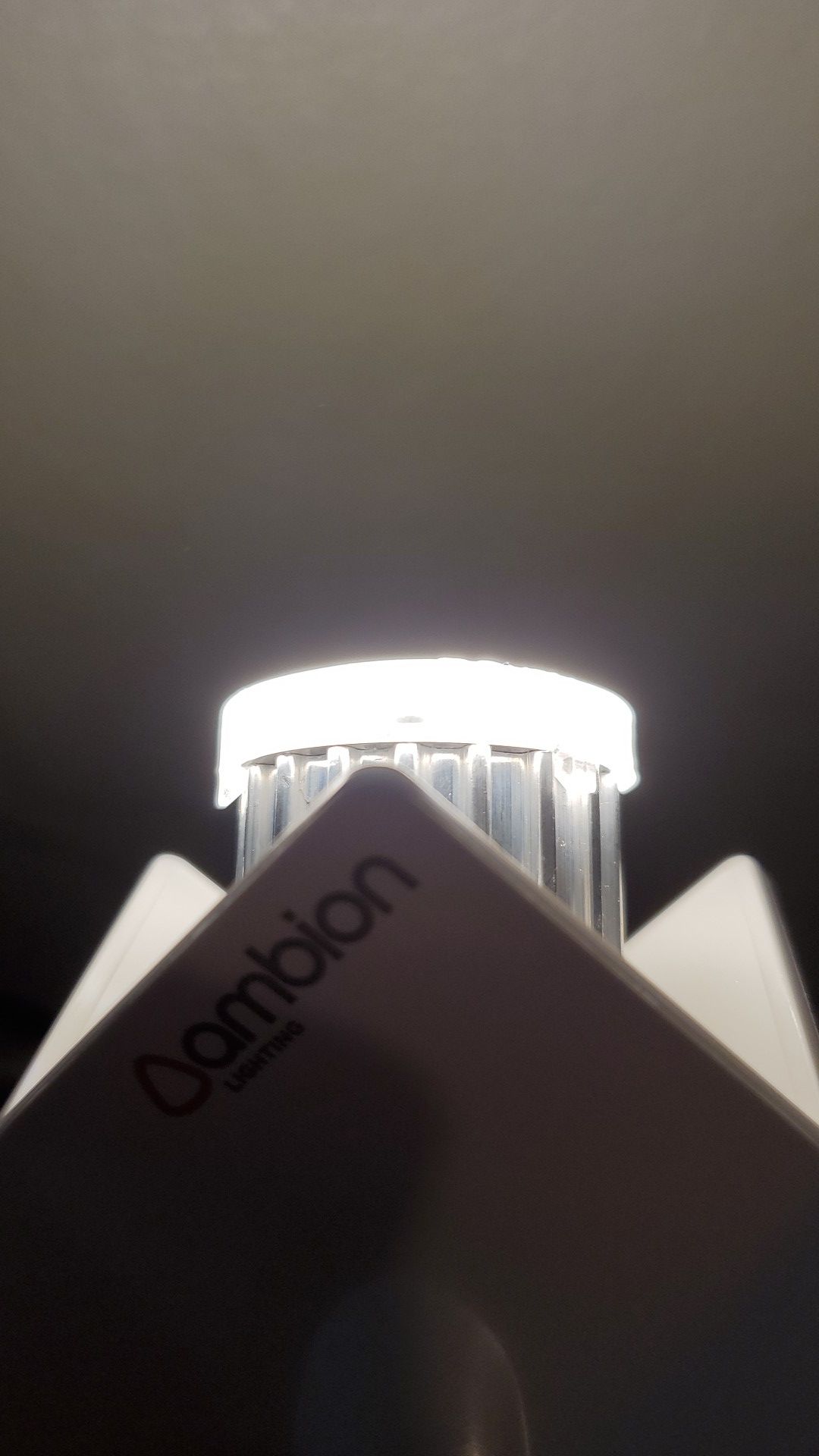 Ambion LED Salt Lamp