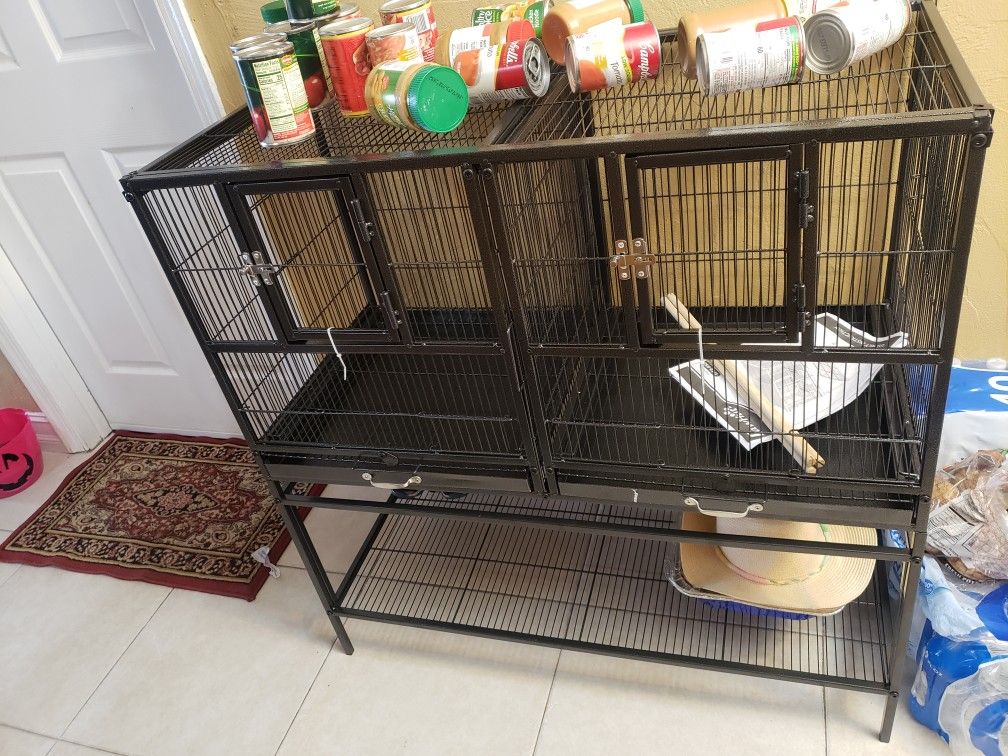 Bird Cage