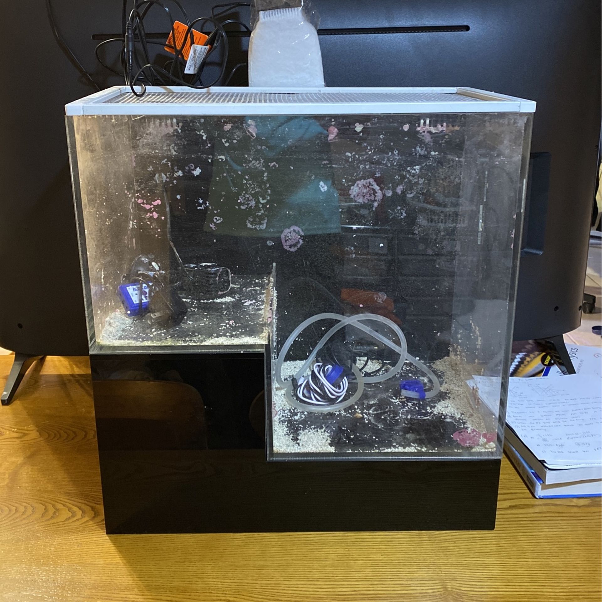 Seapora 20gallon Drop Off All In One Fish Tank And More