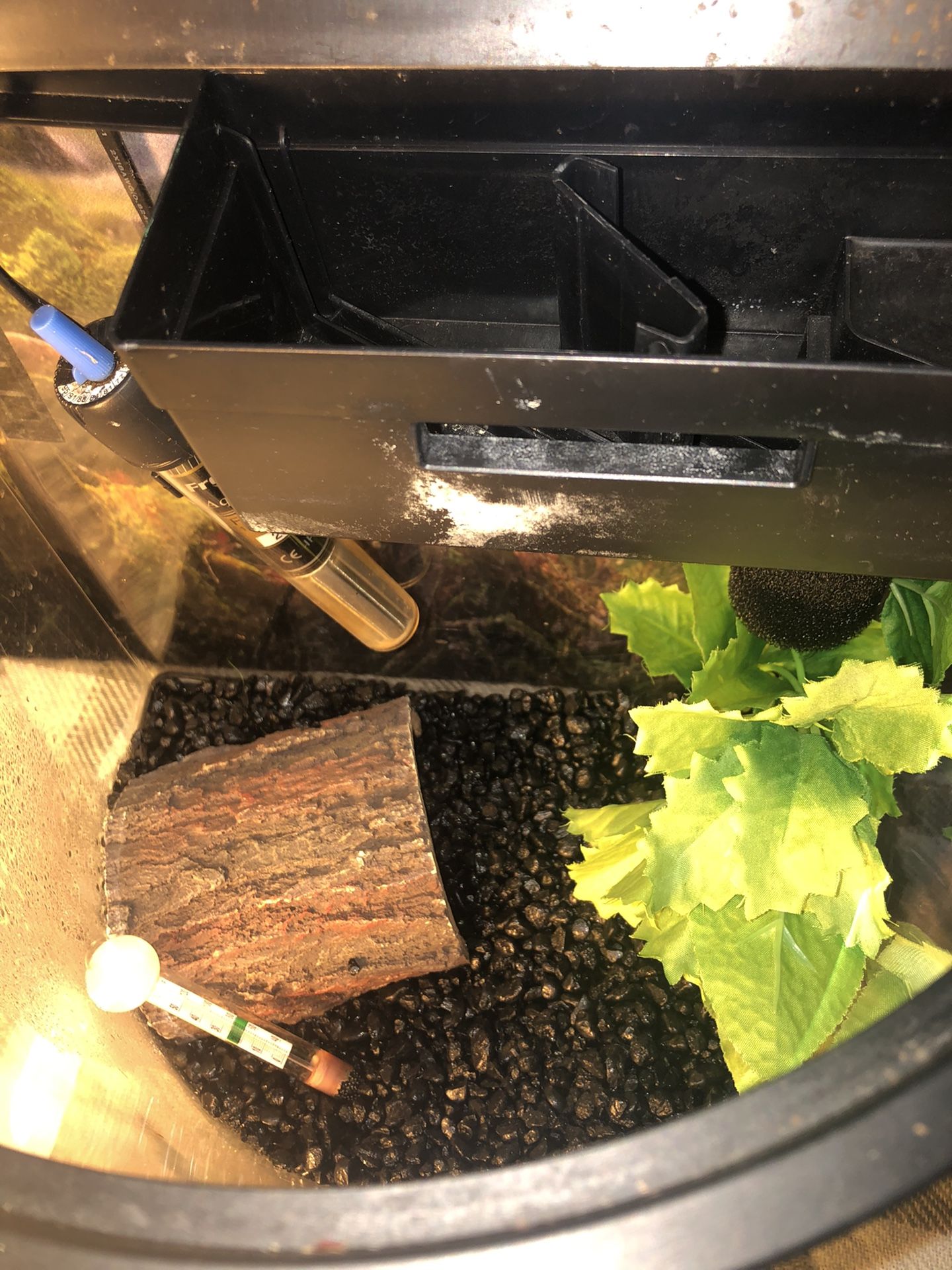 Fish Aquarium