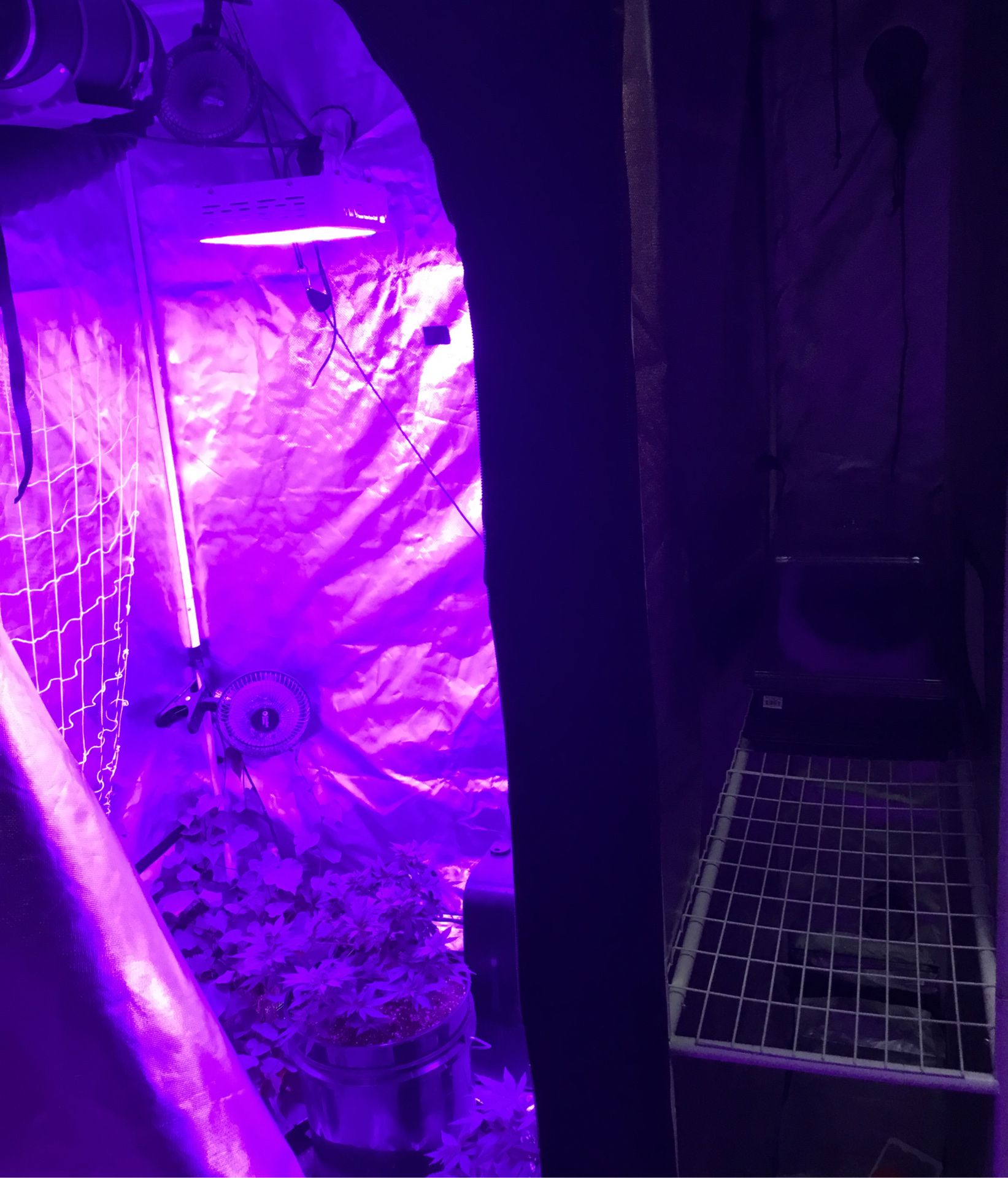 Grow tent everything included 1000w LED full spectrum arctic king dehumidifier fans vent fan with carbon filter