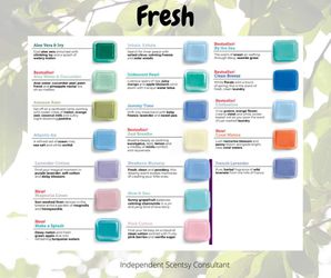 Scentsy Spring/ Summer Scent Bars Thumbnail
