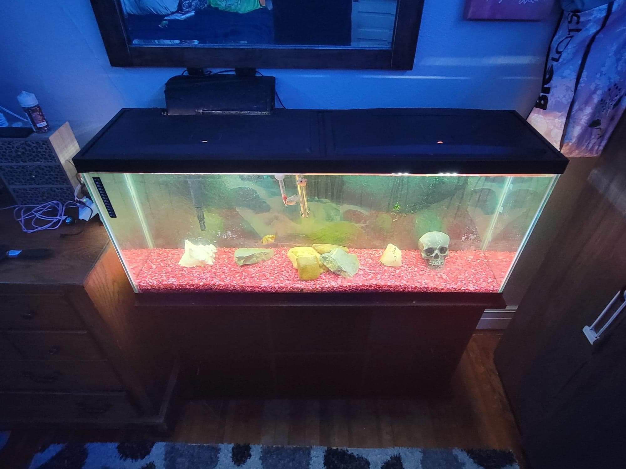 Black,$450,55” Fish Tank