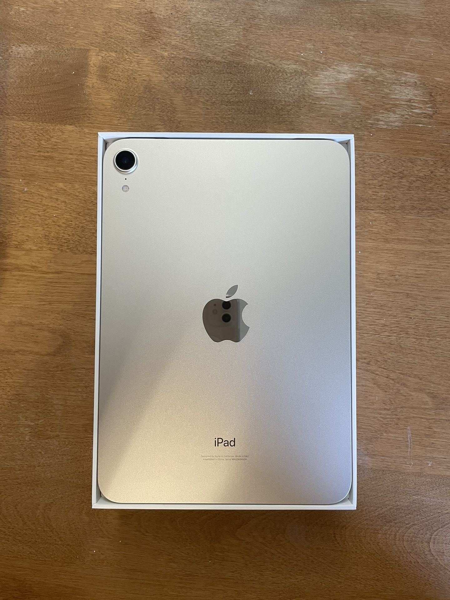 iPad Mini 6th Gen - MINT
