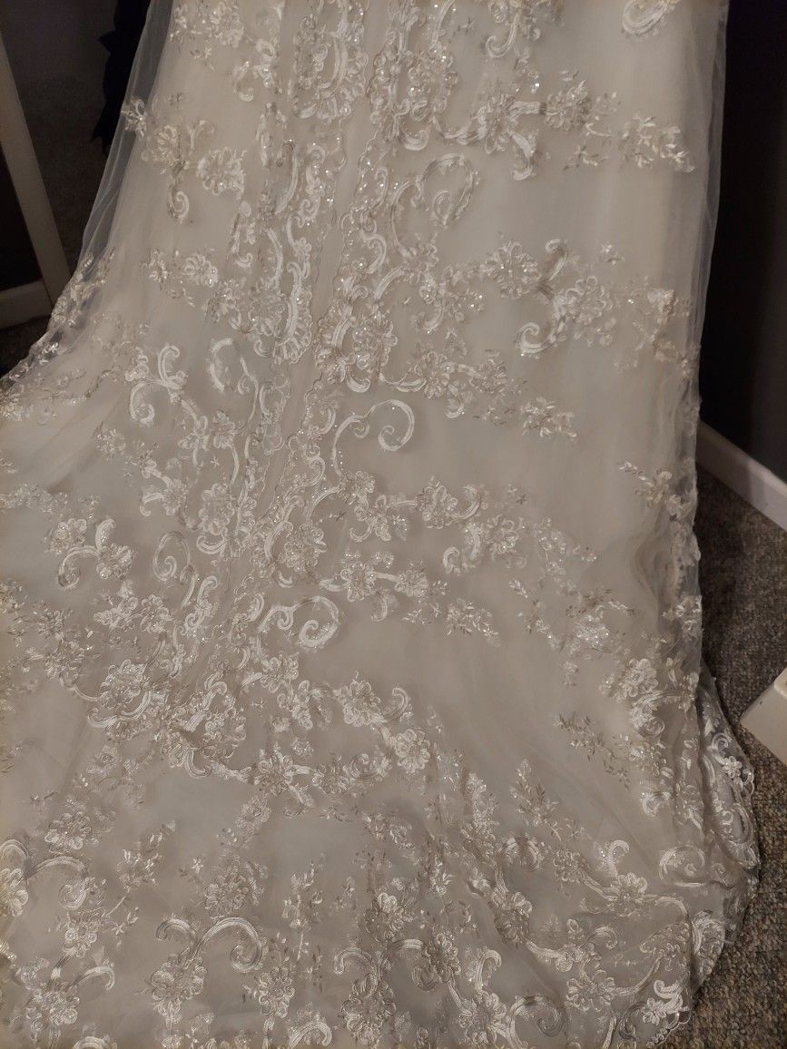 brand new FREE SHIPPING Size 20