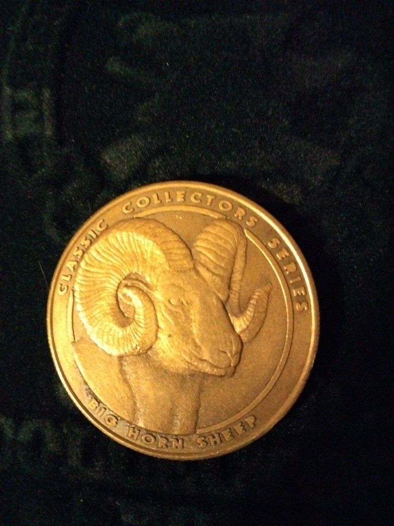 National Rifle Association Coin