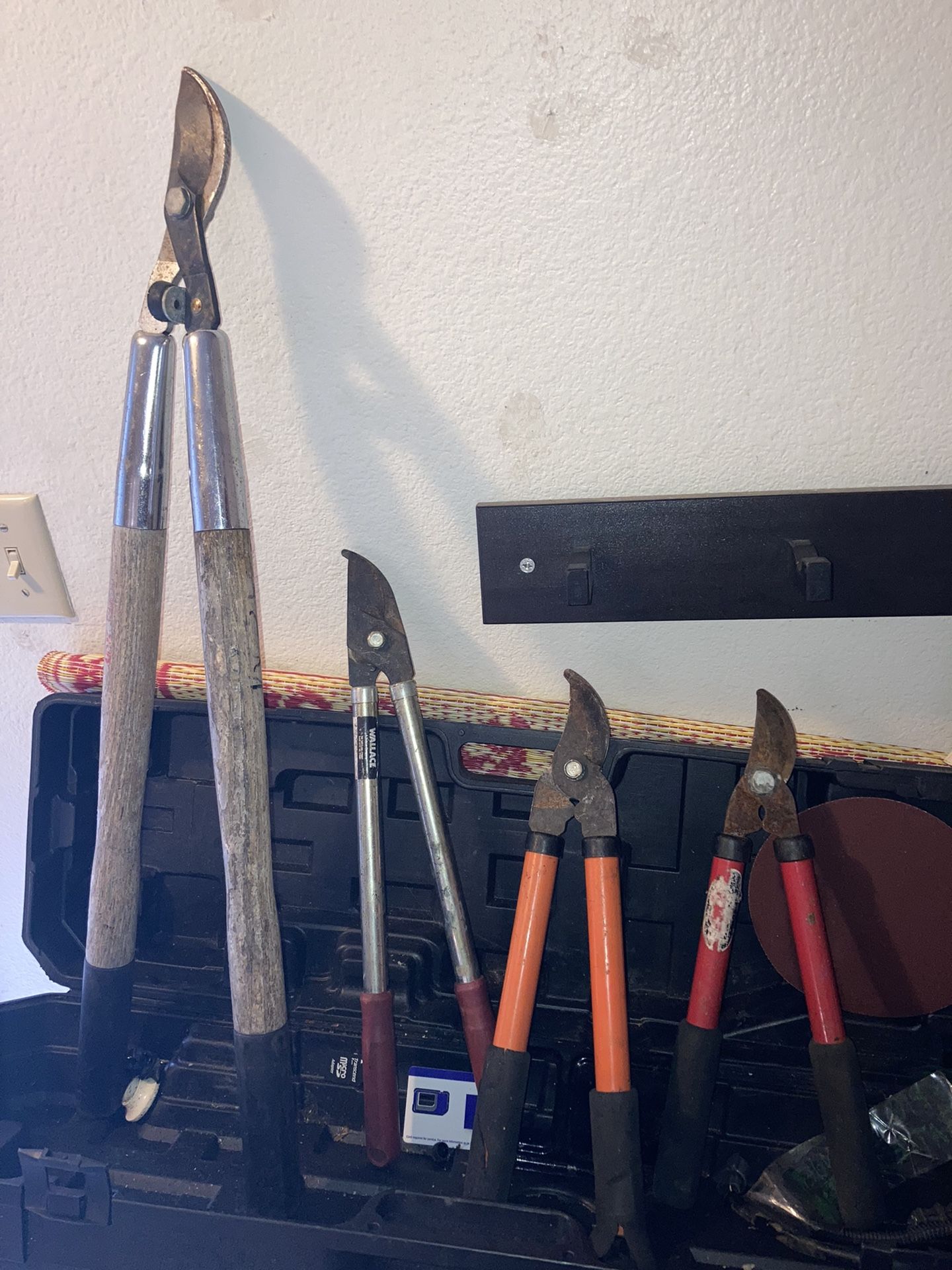 Pruning Sheers