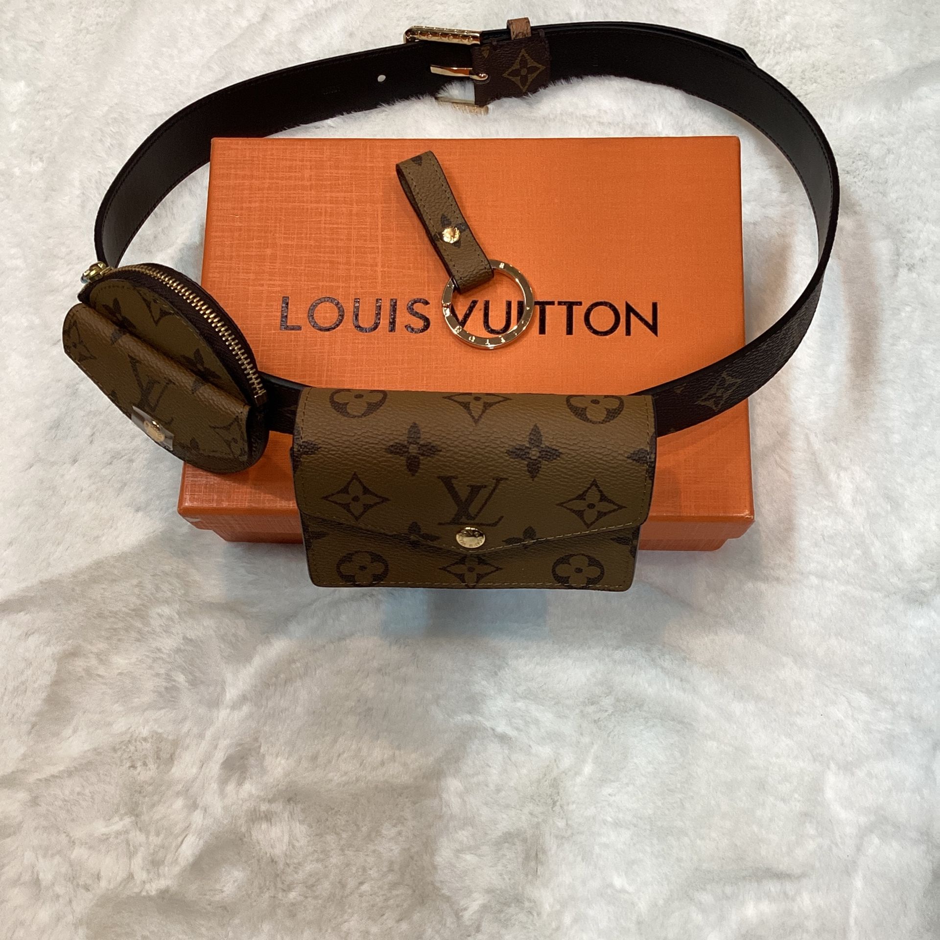 Louis Vuitton Belt Pouch And Keychain