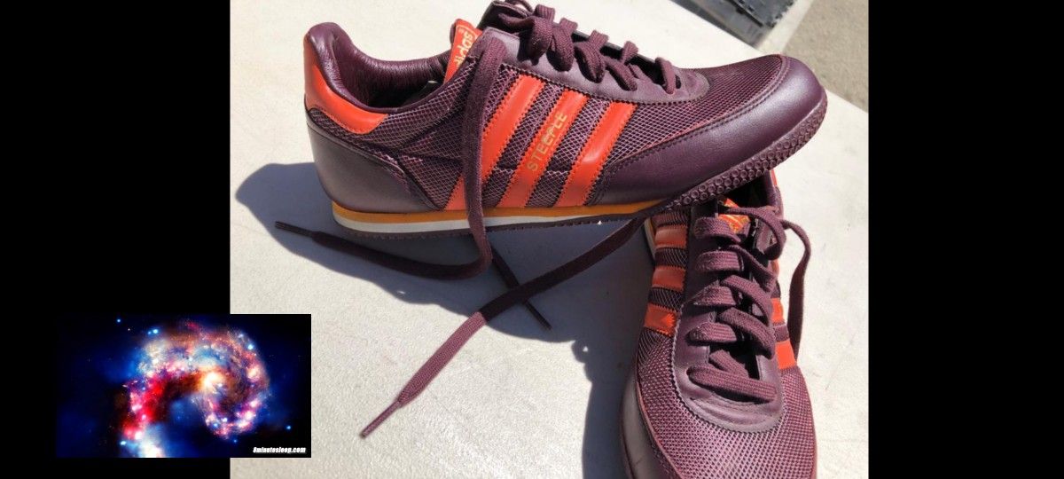 Addidas Steeple Shoe