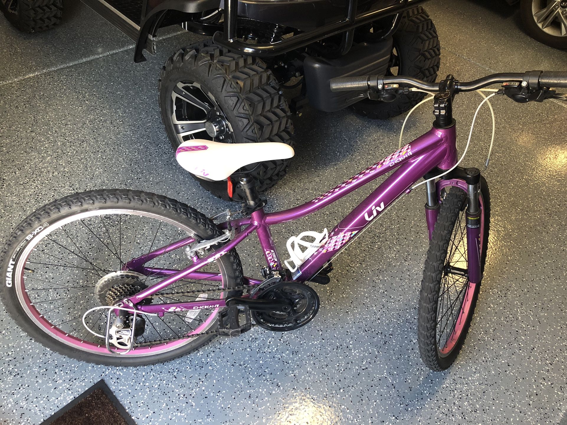 Girls 24 in mountain Bike 21 Speed LIV