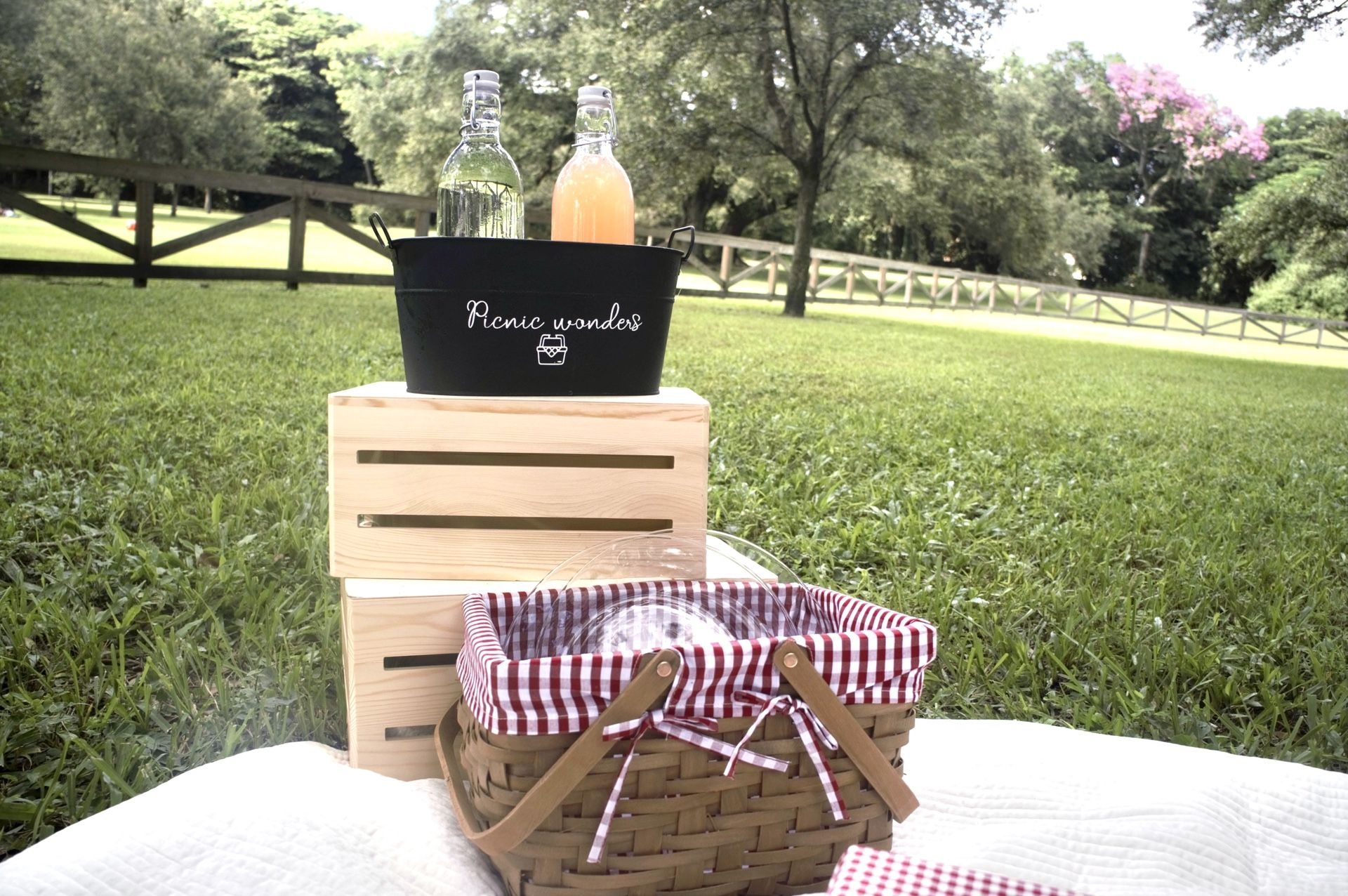 Picnic Events