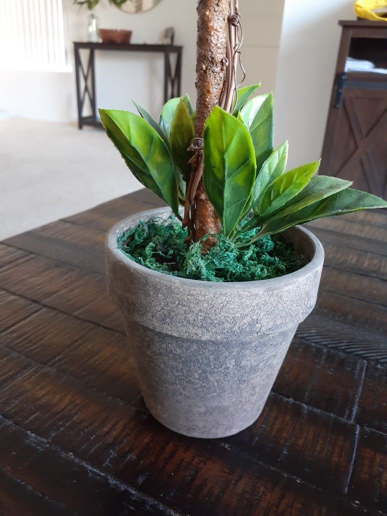 Fake Plant