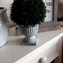 Boxwood Topiary - Check My Page For More Decor  Thumbnail