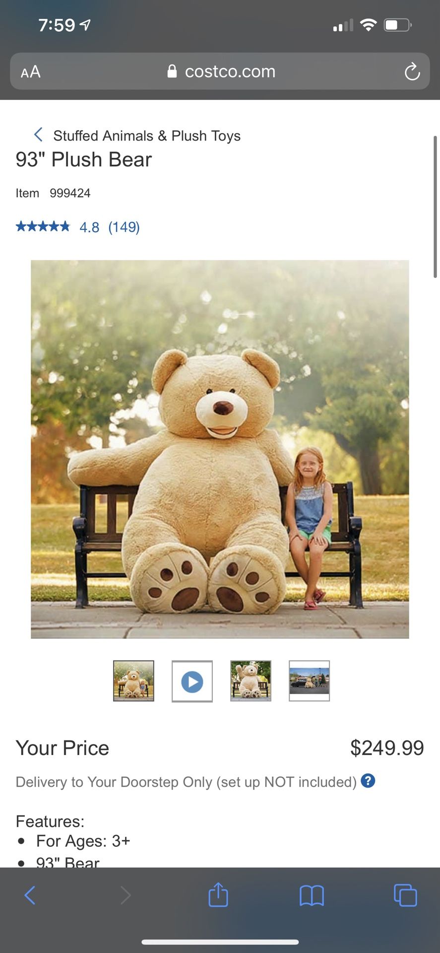 Giant Teddy Bear