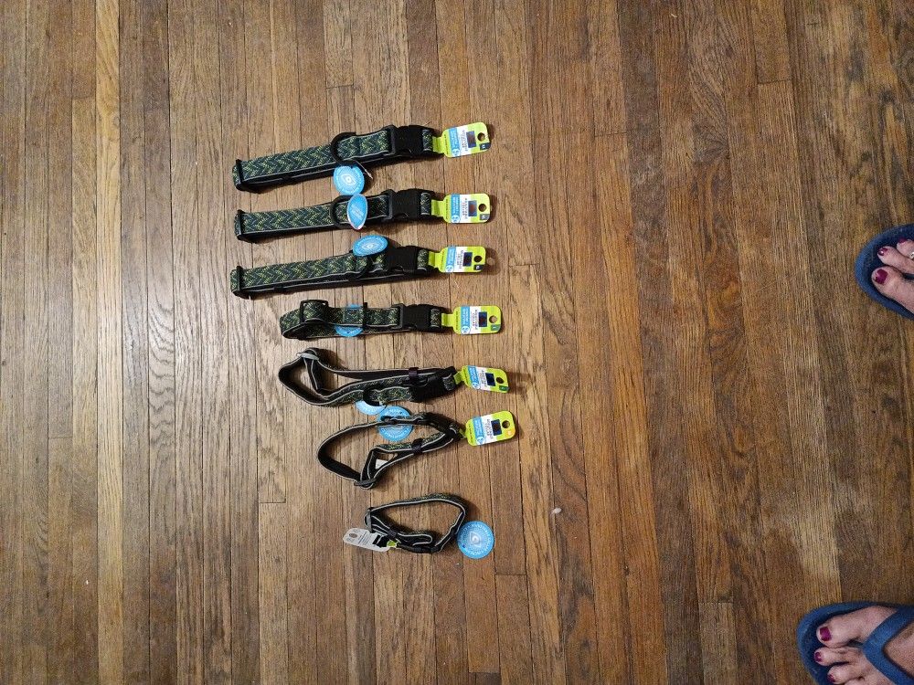 Green Padded Attractive Dog Collar