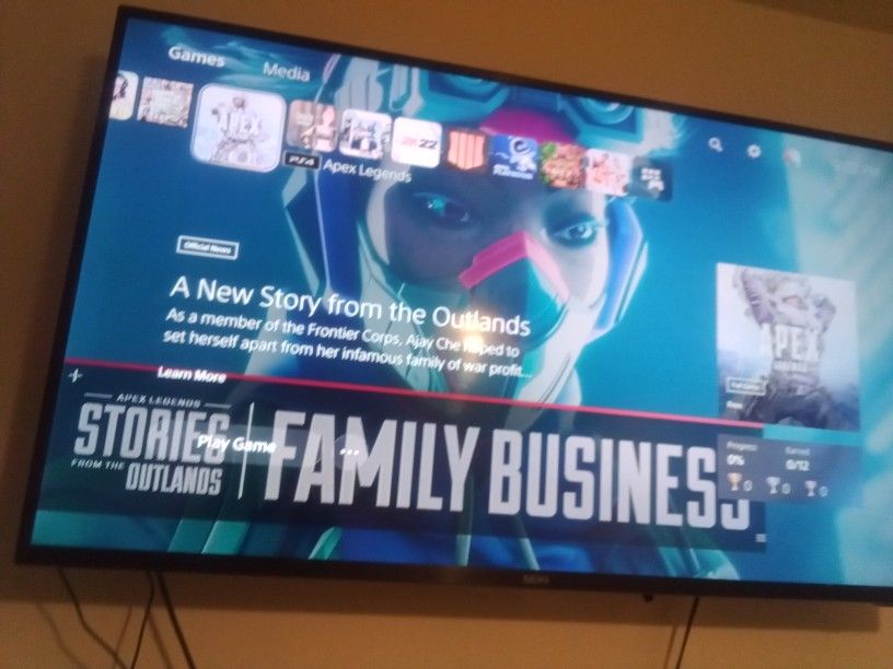 55 Inch TV