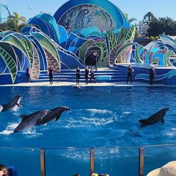 Seaworld Tickets 🎟   $30 Each Just For Today Thumbnail