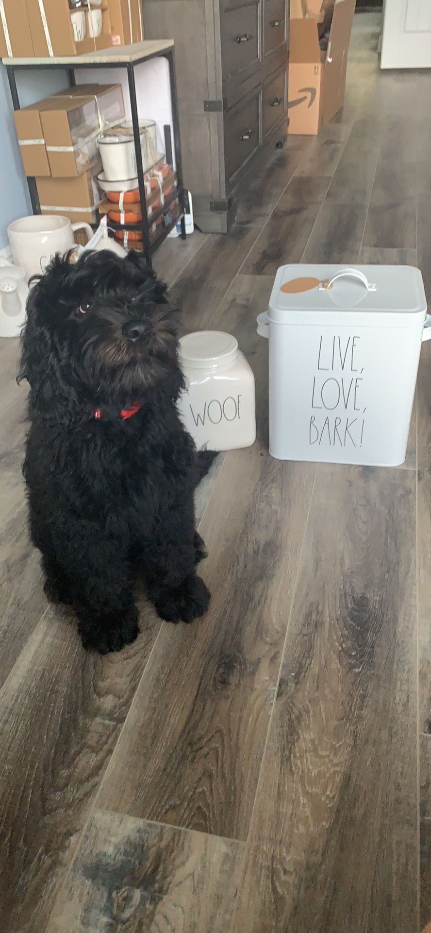 Rae Dunn doggy canisters