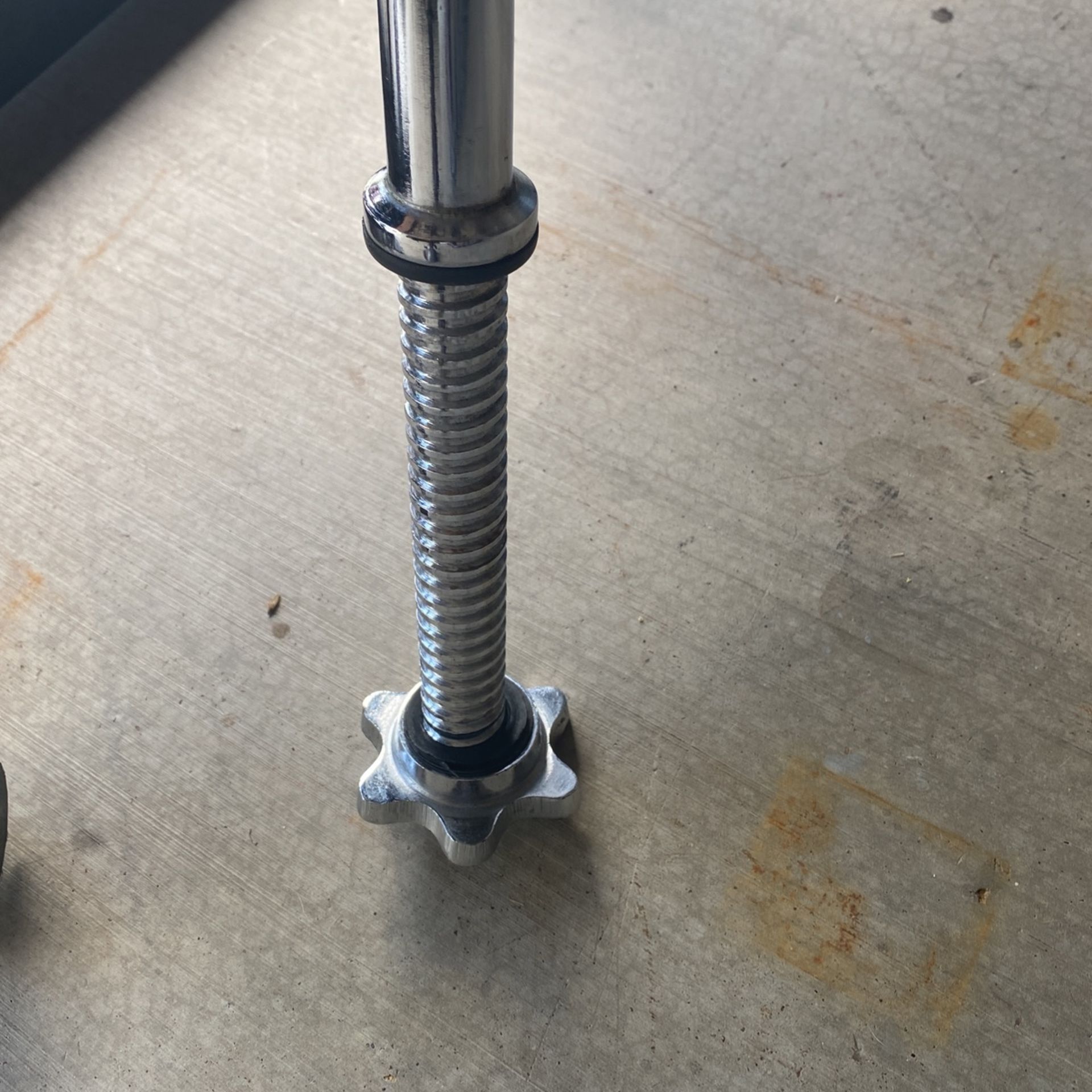 Curl Bar