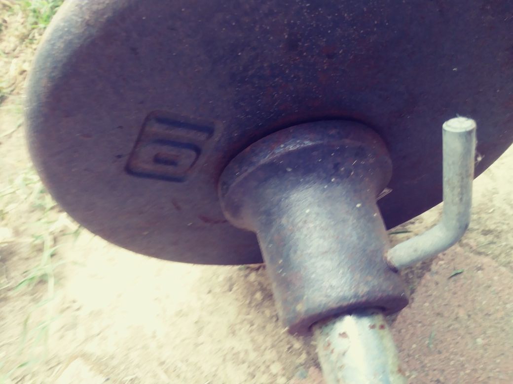 CURL BAR