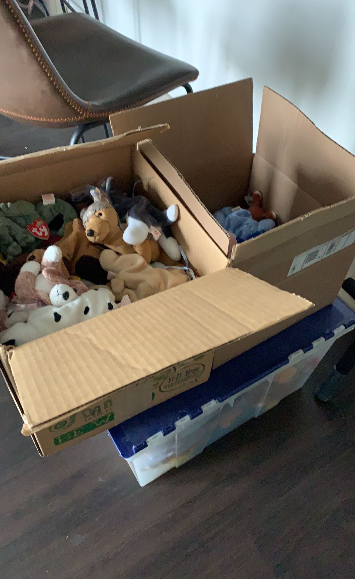 Massive Beanie Baby Collection With Hang Cards - 175+