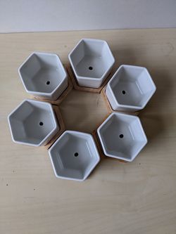 6 Hexagonal Tiny Plant Pots - With Drainage Holes And Bamboo Drainage Trays; Great For Succulents Or Cuttings Thumbnail