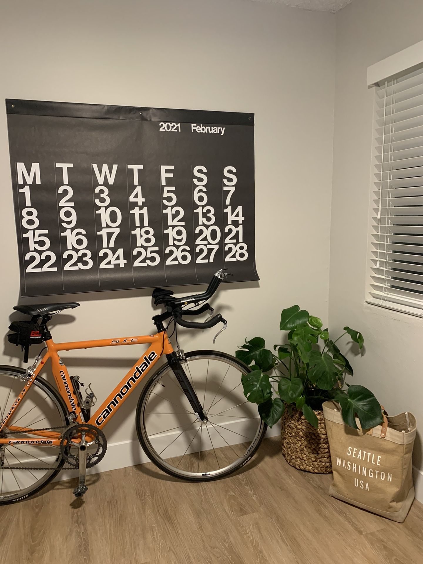 Cannondale 54