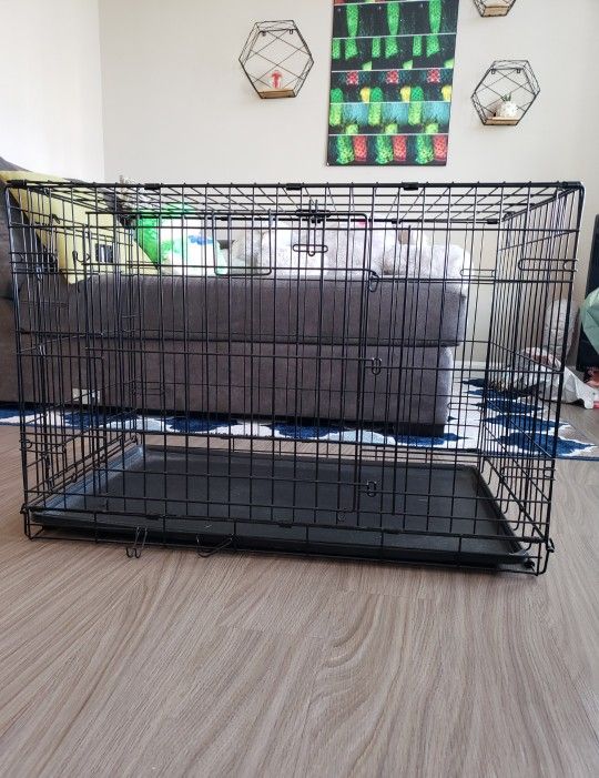 Dog Crates