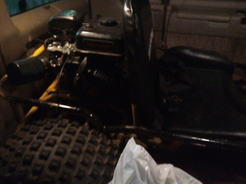 Yerf Dog 6 Half Hp. New Motor