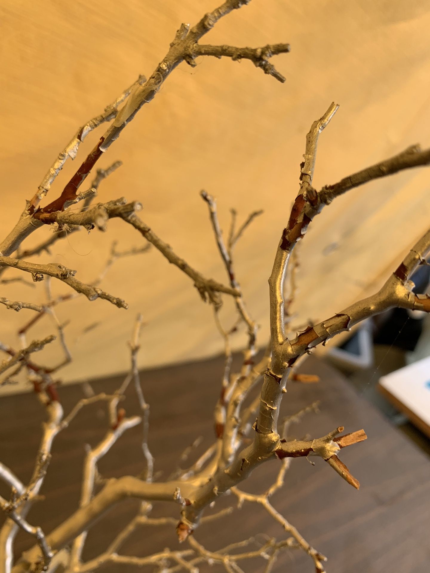 Manzanita Tree In Shadow Box With Jewels