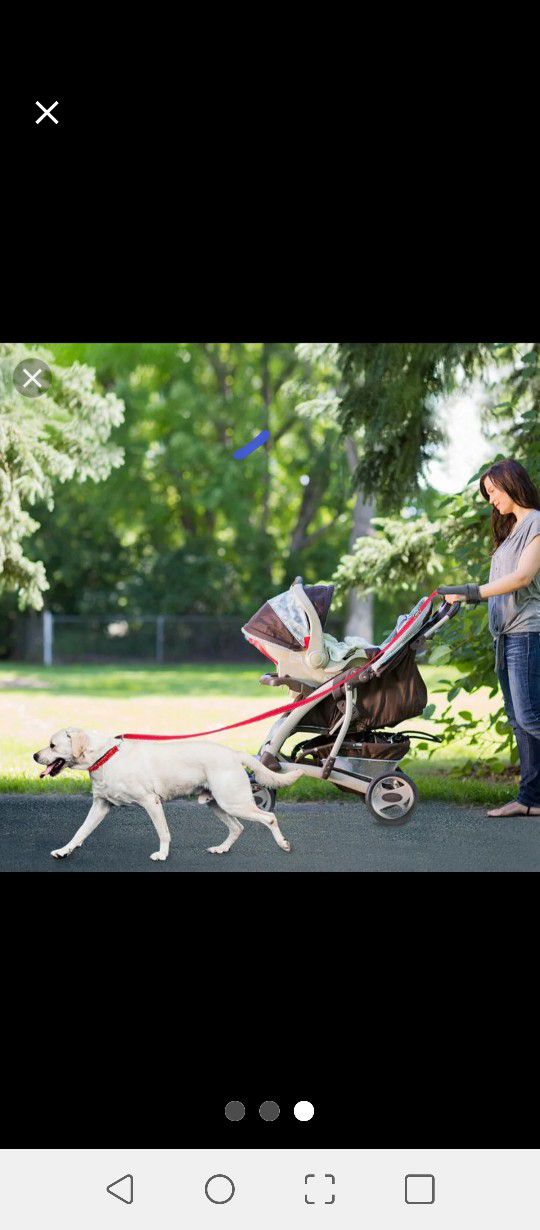Pet Parade Reflective Safety Strap Leash. Dog leash. Correa para perro