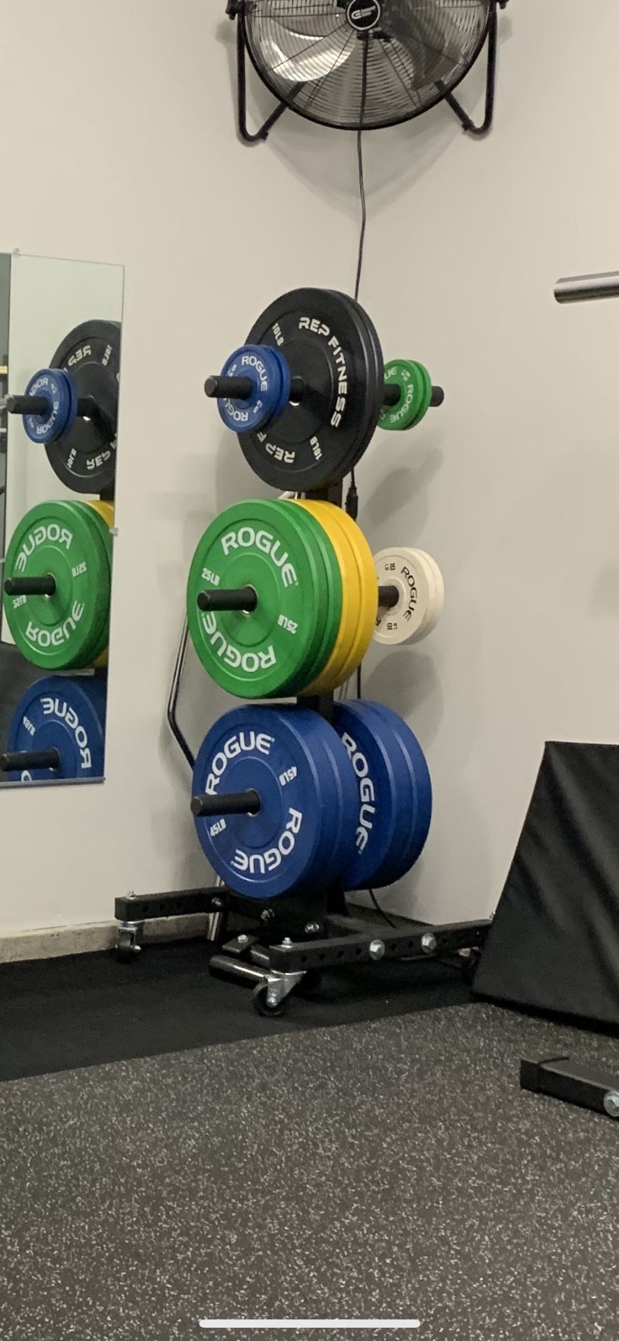 Rogue Vertical Plate Tree 2.0 for Sale in San Diego, CA OfferUp