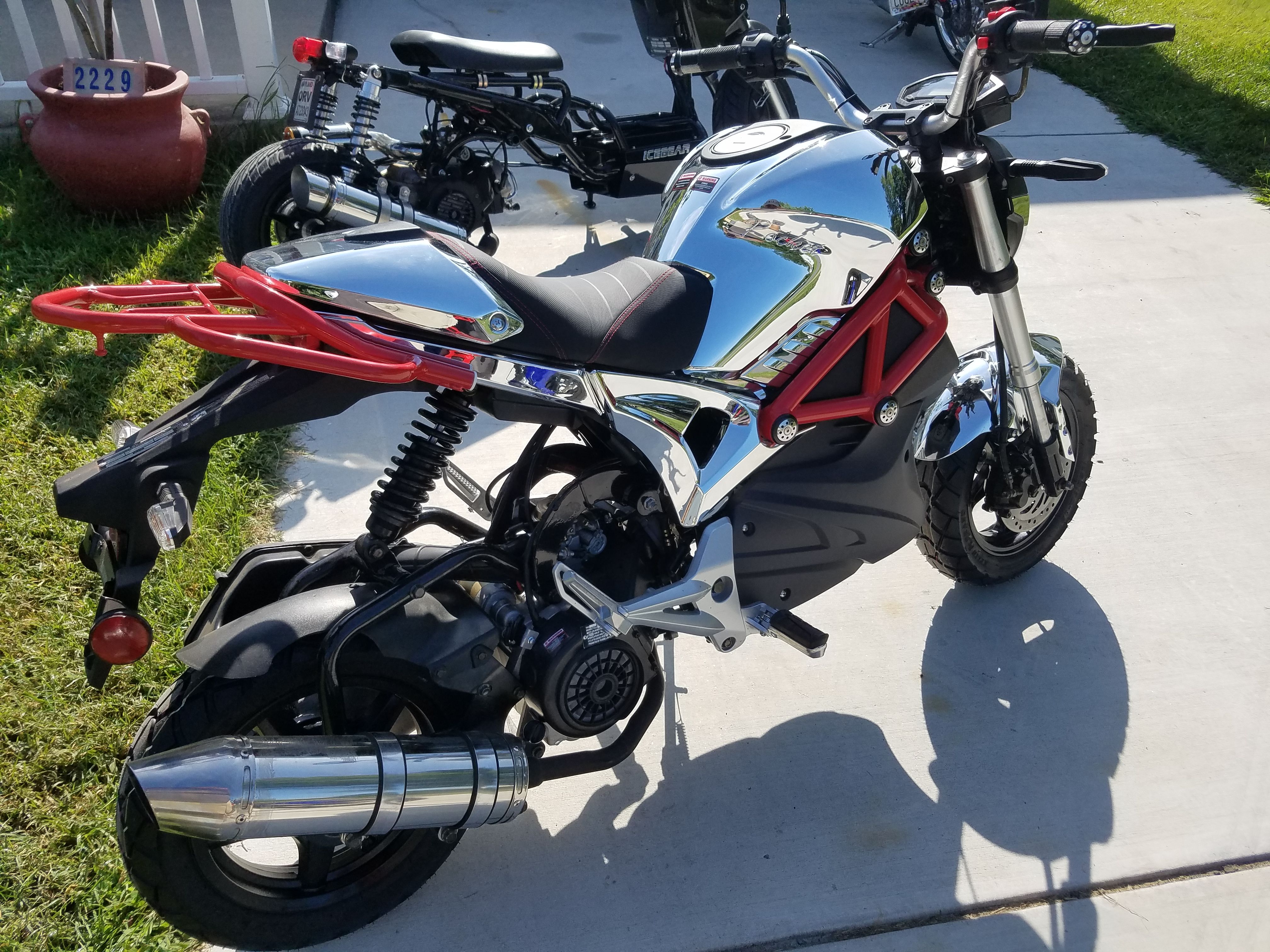 ice bear grom clone