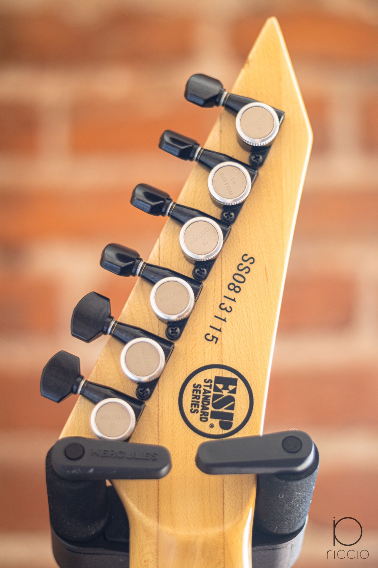 ESP Standard Series M-I NTB | electric guitar