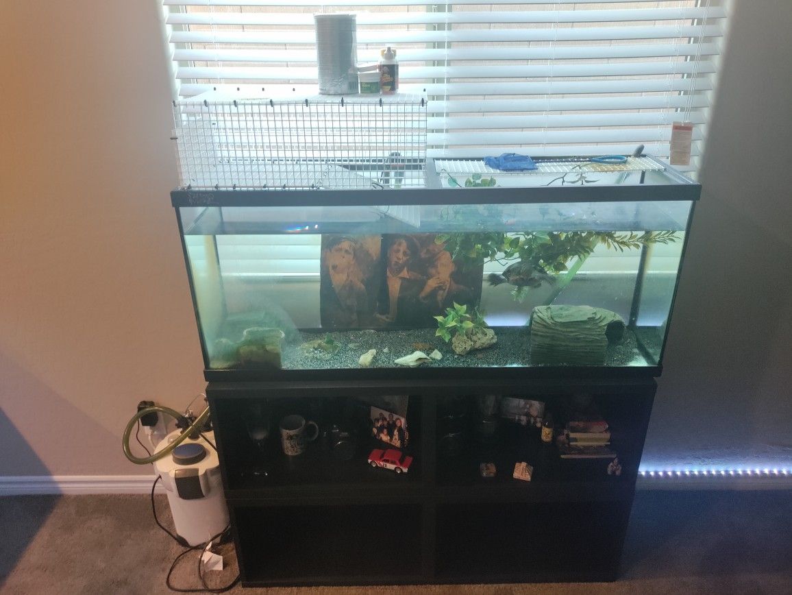 Fish/Turtle Tank + Canister Filter & Decorations