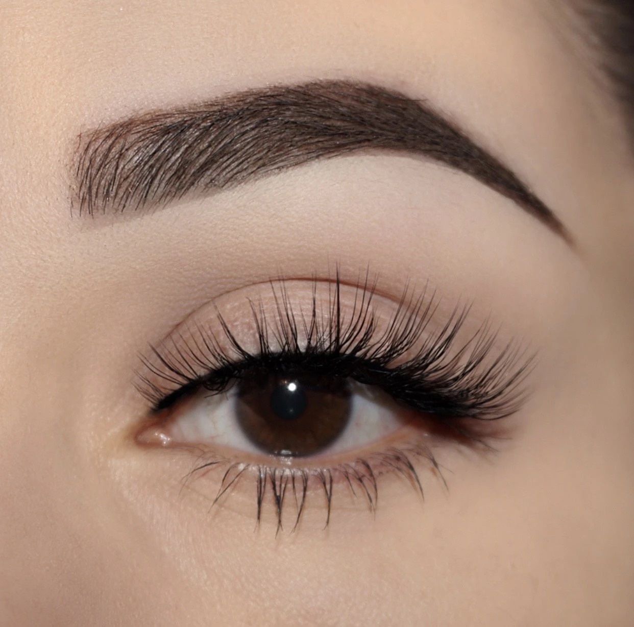 Lashes