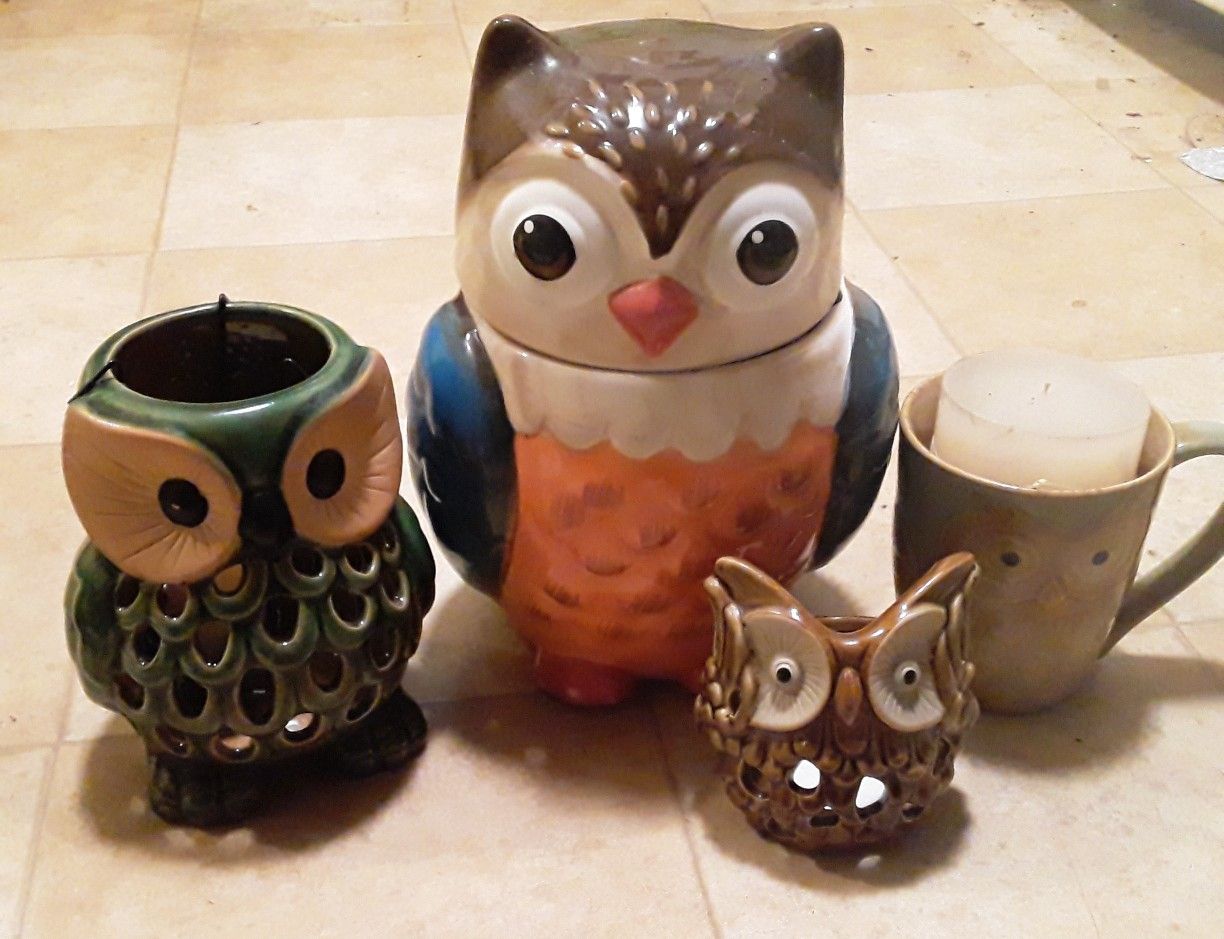 Owl kitchen decor