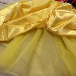 Cinderella Dress/ Costume Thumbnail