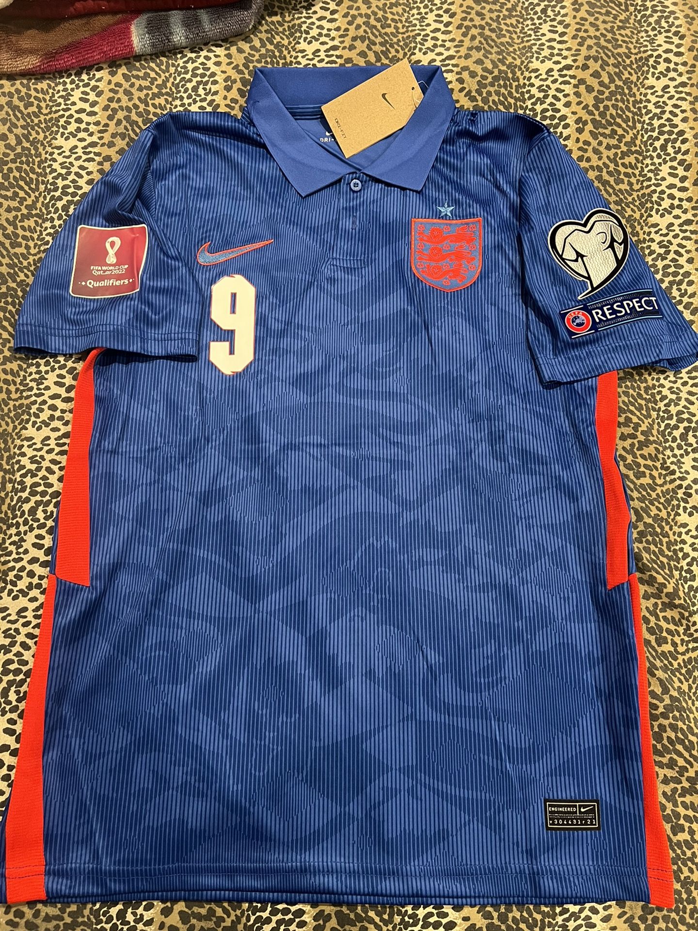 Harry kane England National Football Team