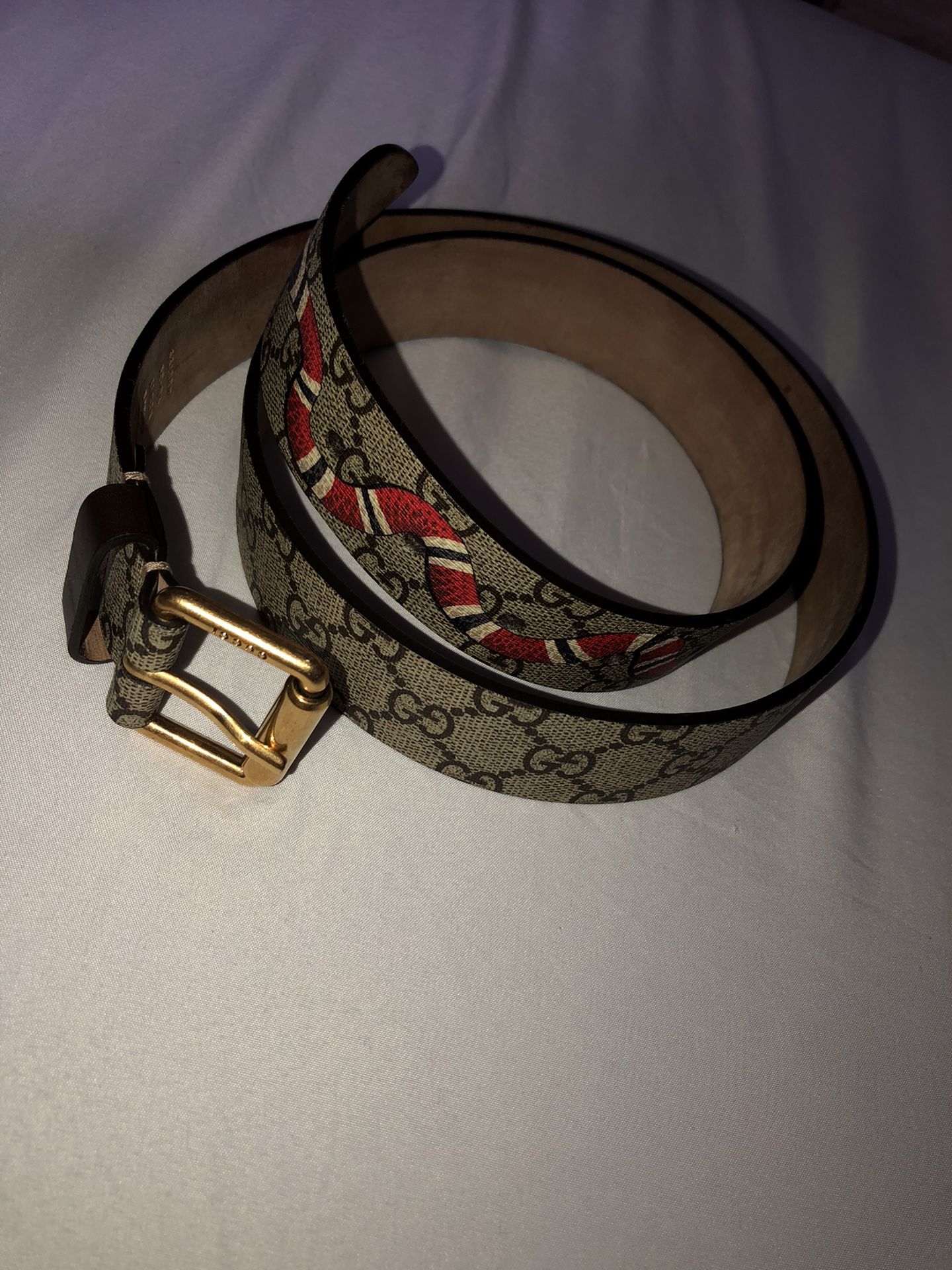 GUCCI Supreme belt with Kingsnake print