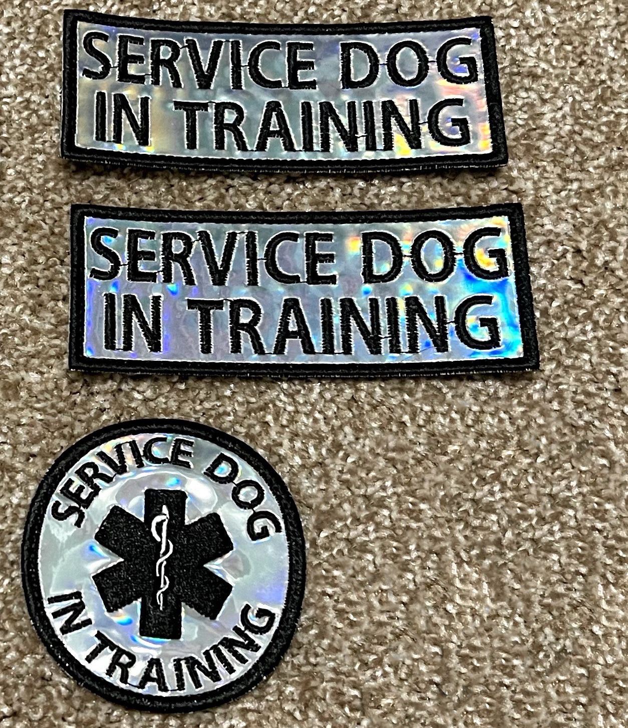 Service Dog In Training velcro patch set