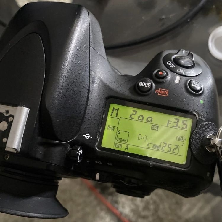 Nikon d800