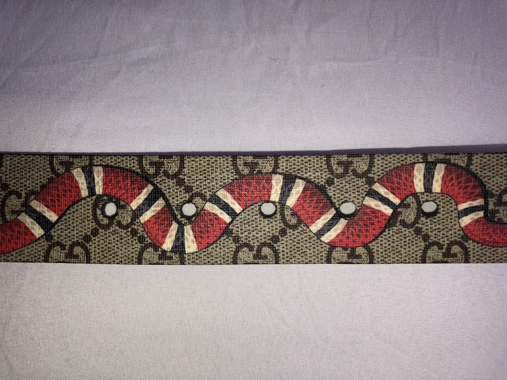 GUCCI Supreme belt with Kingsnake print