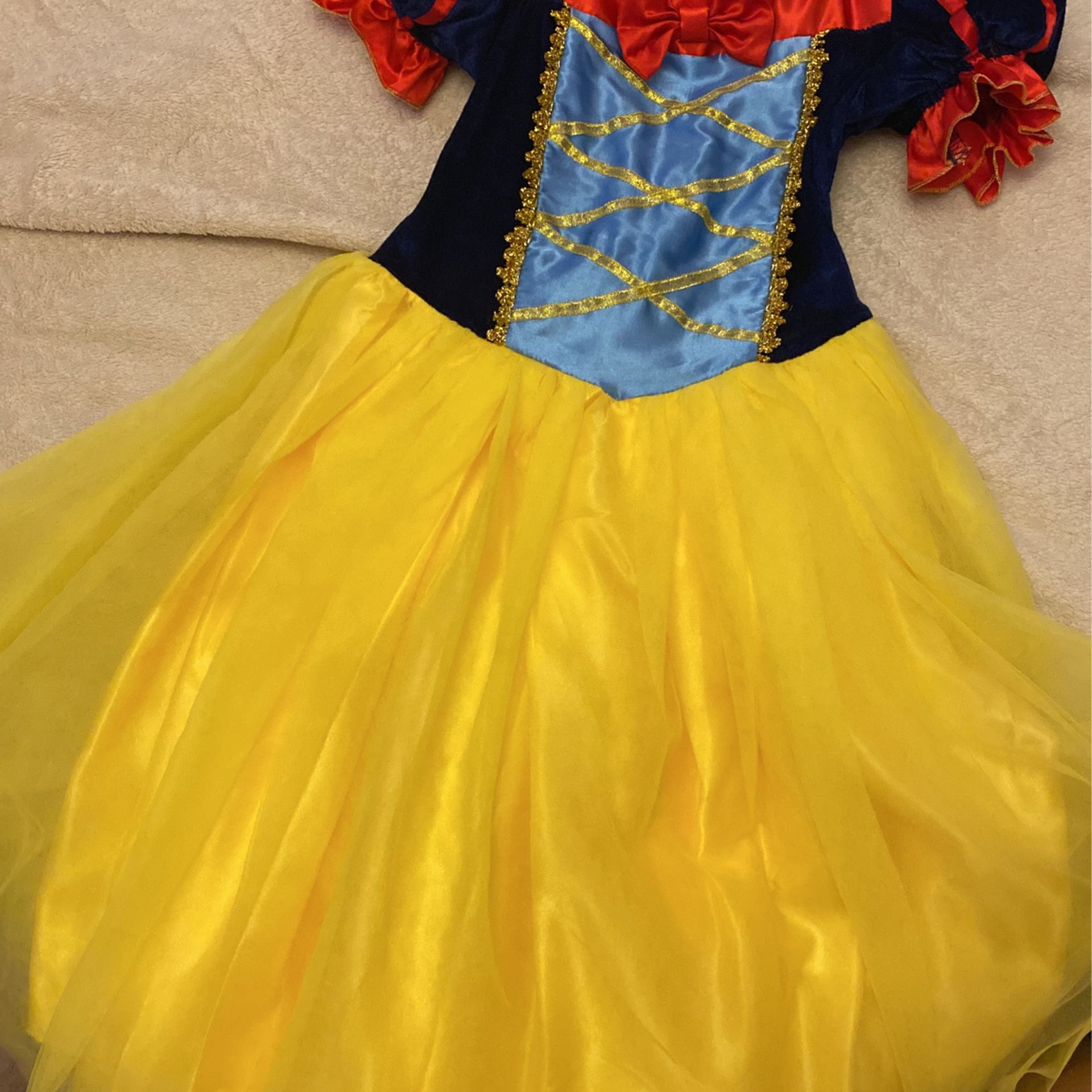 Cinderella Dress/ Costume
