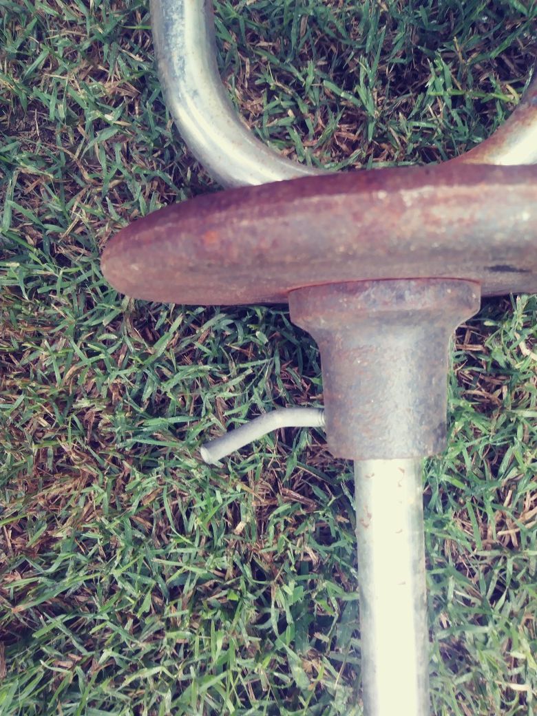 CURL BAR